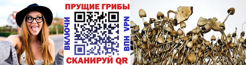 продажа наркотиков  Нарьян-Мар  Псилоцибиновые грибы ЛСД 