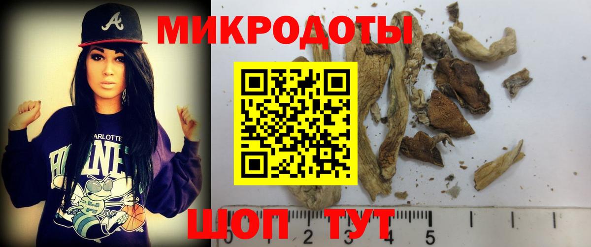Галлюциногенные грибы ЛСД  что такое наркотик  Нарьян-Мар  Вход с VPN 